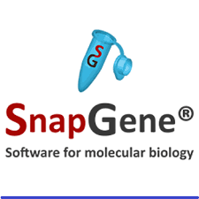 SnapGene 4.3.11 Crack With Activation Key Free Download 2019