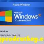 Windows 10 Activator Loader Plus Version Free Download {2021}