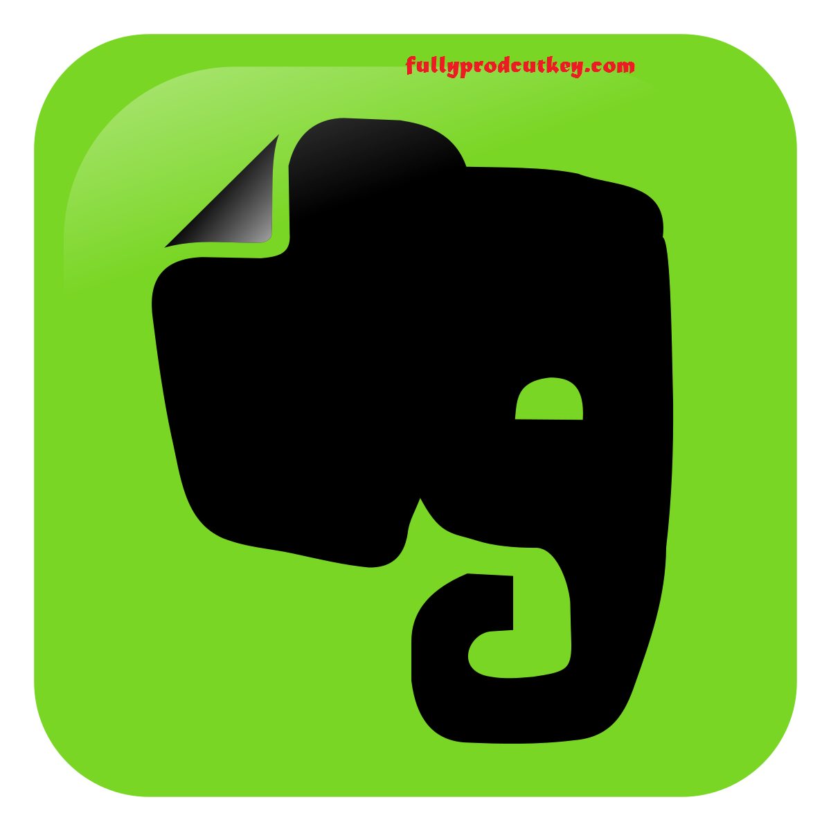 Evernote Crack 10.10.5-2487 Plus Serial Key Download {Latest}